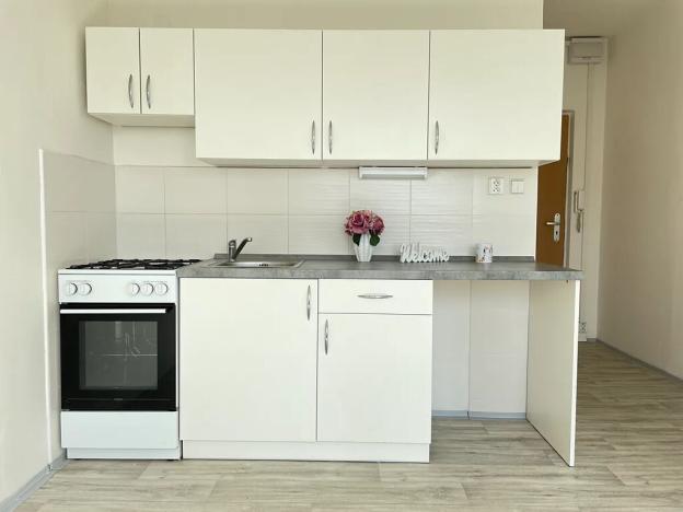 Pronájem bytu 1+1, Litvínov, Mládežnická, 38 m2