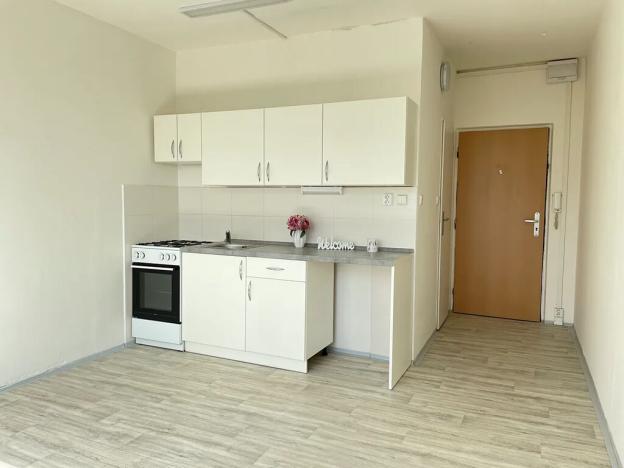 Pronájem bytu 1+1, Litvínov, Mládežnická, 38 m2