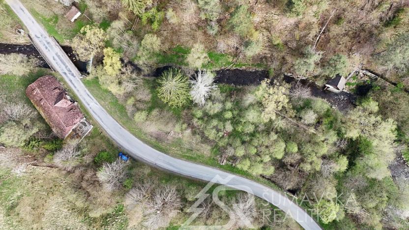 Prodej komerční, Rejštejn, 10000 m2