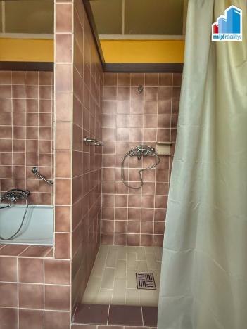 Pronájem bytu 4+1, Plzeň, Americká, 135 m2