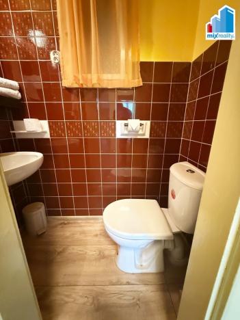 Pronájem bytu 4+1, Plzeň, Americká, 135 m2