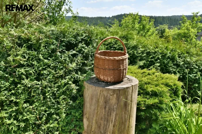 Prodej rodinného domu, Horní Olešnice - Ždírnice, 104 m2