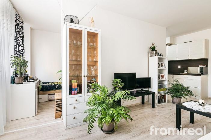 Pronájem bytu 2+kk, Brno, Gajdošova, 49 m2