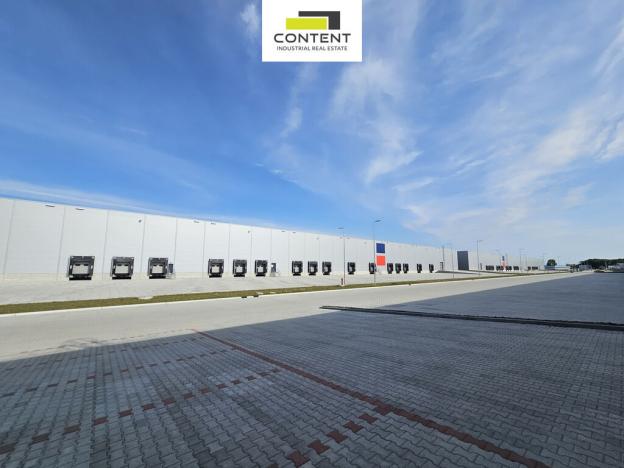 Pronájem výrobních prostor, Mošnov, 10217 m2