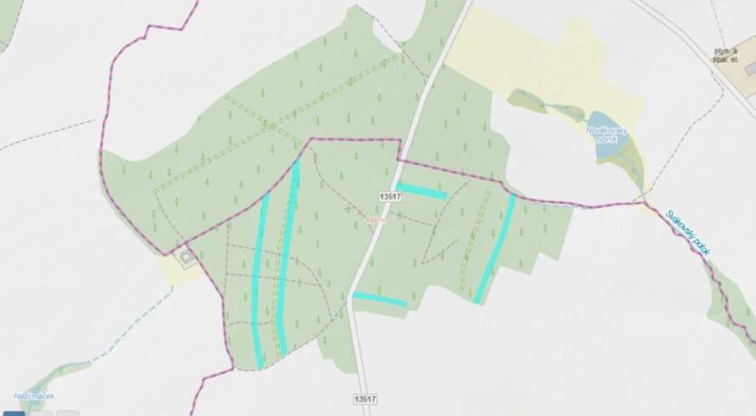 Prodej lesa, Vesce - Mokrá, 24818 m2