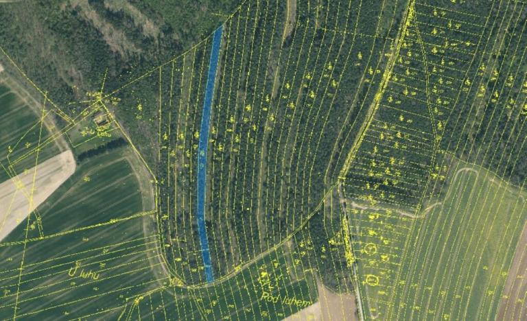 Prodej lesa, Vesce - Mokrá, 24818 m2