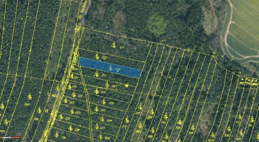 Prodej lesa, Vesce - Mokrá, 24818 m2