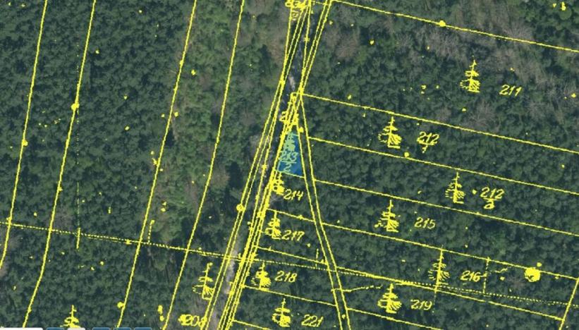 Prodej lesa, Vesce - Mokrá, 24818 m2