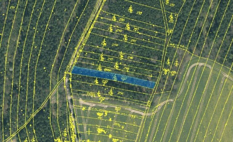 Prodej lesa, Vesce - Mokrá, 24818 m2