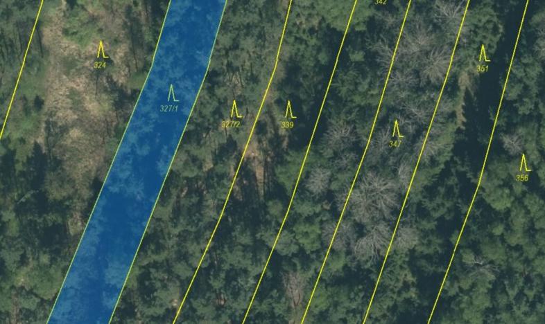 Prodej lesa, Vesce - Mokrá, 24818 m2