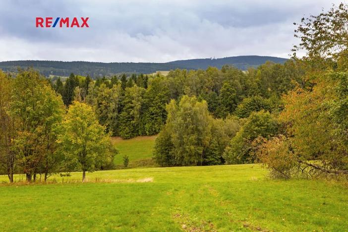 Prodej pozemku pro bydlení, Orličky, 61702 m2