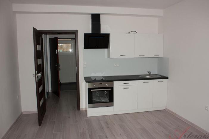 Pronájem bytu 1+kk, Staříč, Fryčovická, 33 m2