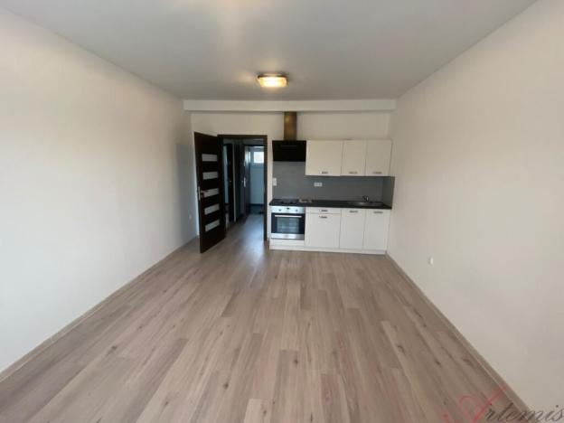 Pronájem bytu 1+kk, Staříč, Fryčovická, 33 m2