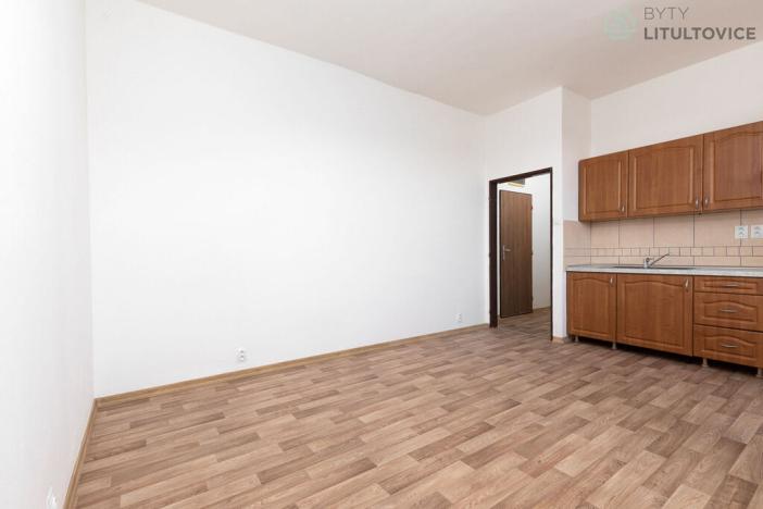 Prodej bytu 1+kk, Litultovice, 28 m2