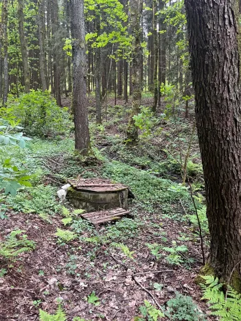 Prodej chalupy, Rychnov u Jablonce nad Nisou, 160 m2