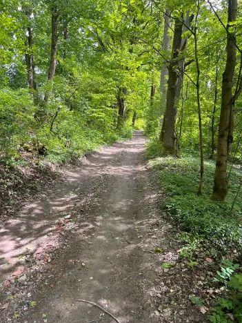 Prodej chalupy, Rychnov u Jablonce nad Nisou, 160 m2