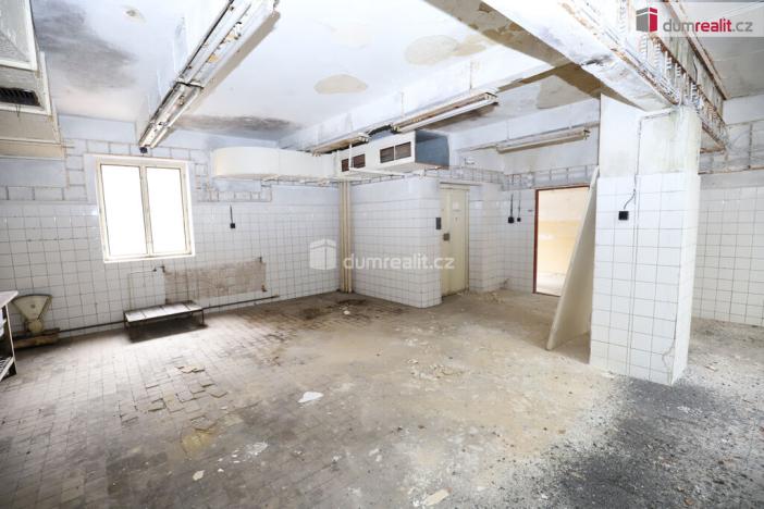 Prodej ubytování, Karlovy Vary - Rybáře, Sokolovská, 600 m2