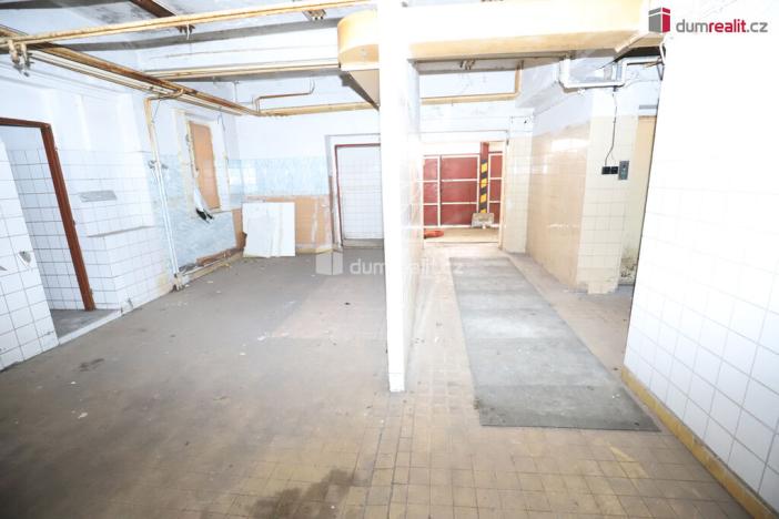 Prodej ubytování, Karlovy Vary - Rybáře, Sokolovská, 600 m2