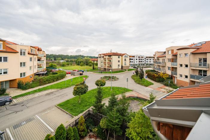 Prodej bytu 4+1, Přezletice, Nové Haltýře, 91 m2