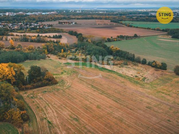 Prodej pole, Srnojedy, 12546 m2