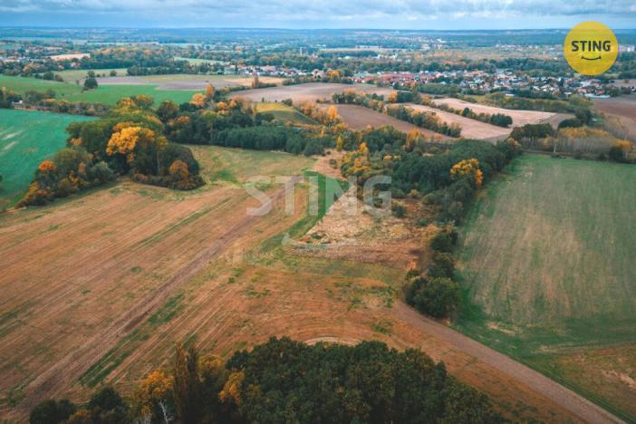 Prodej pole, Srnojedy, 12546 m2