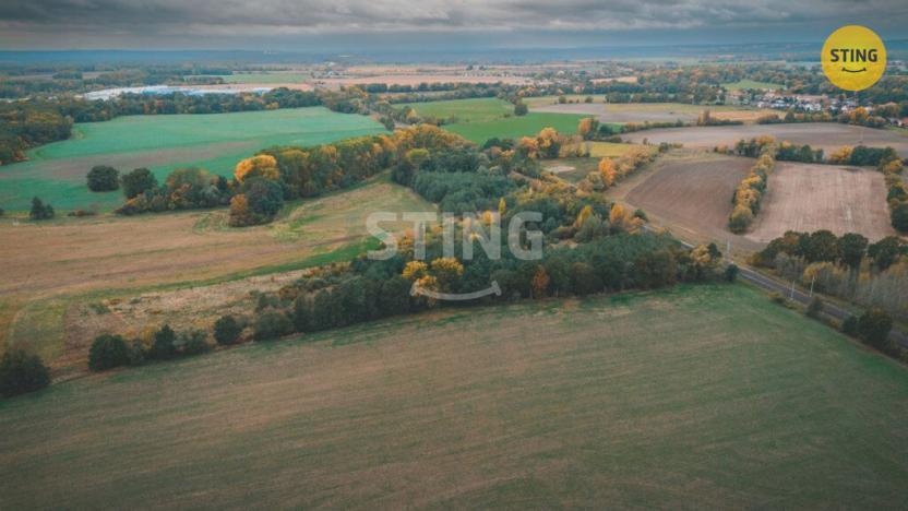 Prodej pole, Srnojedy, 12546 m2