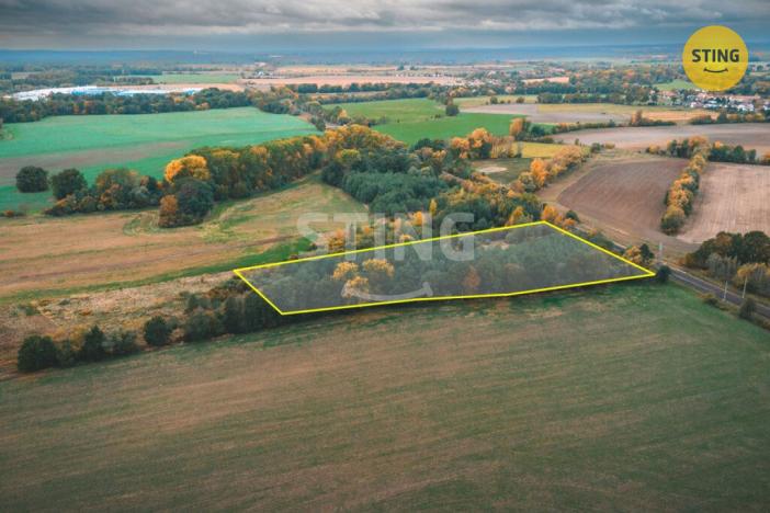 Prodej pole, Srnojedy, 12546 m2