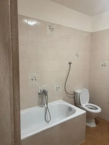 Pronájem bytu 1+kk, Prostějov, 49 m2