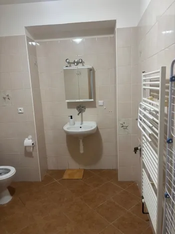 Pronájem bytu 1+kk, Prostějov, 49 m2
