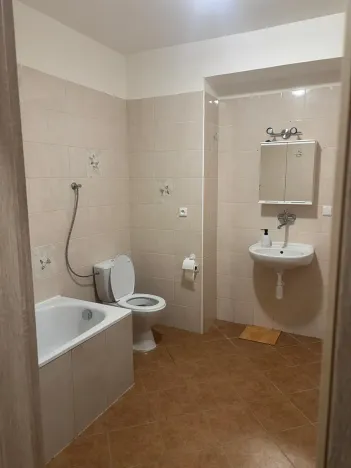 Pronájem bytu 1+kk, Prostějov, 49 m2