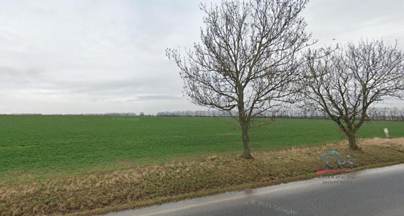 Prodej pole, Červený Újezd, 5781 m2