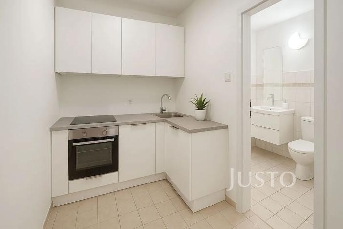 Pronájem bytu 1+1, Písek, Pražská, 30 m2