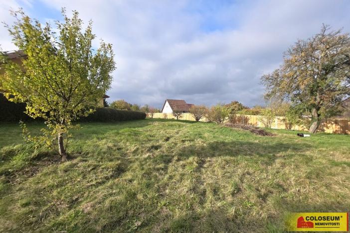 Pronájem zahrady, Lesní Hluboké, 1471 m2