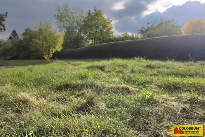 Pronájem zahrady, Lesní Hluboké, 1471 m2