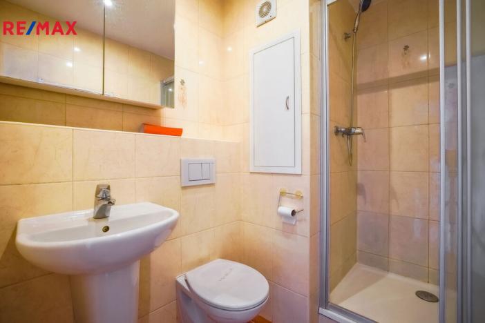 Prodej bytu 1+1, Přerov - Přerov I-Město, Velká Dlážka, 30 m2