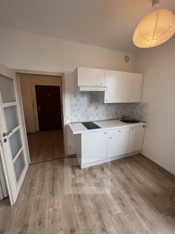 Pronájem bytu 1+kk, Praha - Vysočany, Freyova, 33 m2