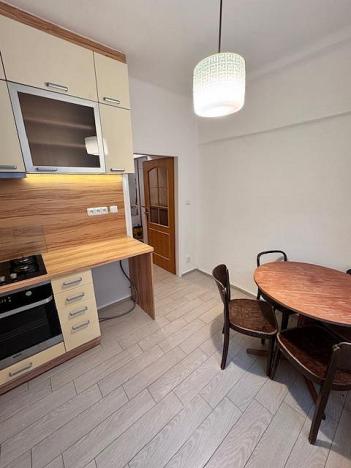 Pronájem bytu 2+1, Plzeň - Východní Předměstí, Koterovská, 56 m2