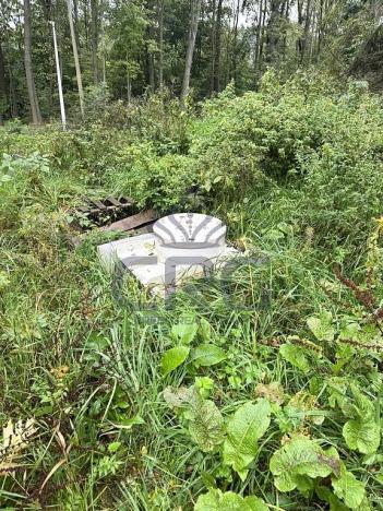 Prodej komerčního pozemku, Lučina, 2602 m2