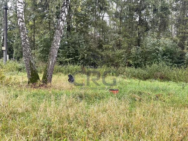 Prodej komerčního pozemku, Lučina, 2602 m2