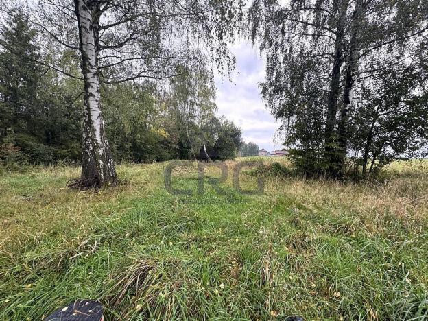 Prodej komerčního pozemku, Lučina, 2602 m2