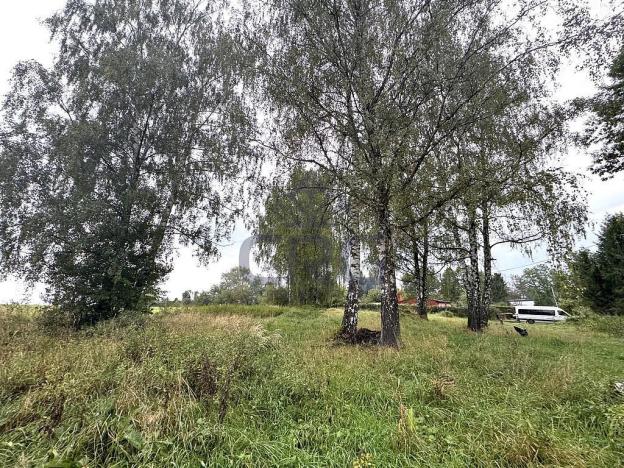 Prodej komerčního pozemku, Lučina, 2602 m2