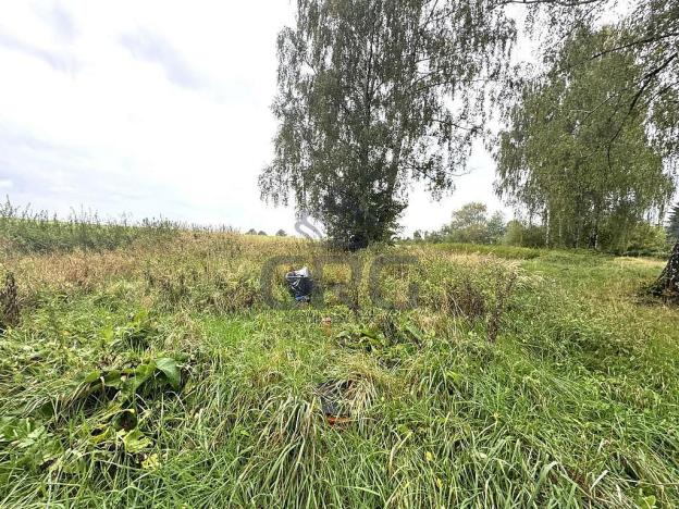 Prodej komerčního pozemku, Lučina, 2602 m2