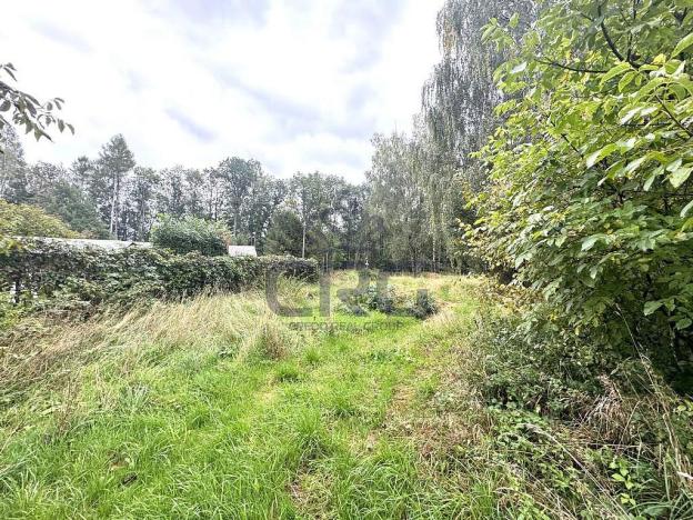 Prodej komerčního pozemku, Lučina, 2602 m2