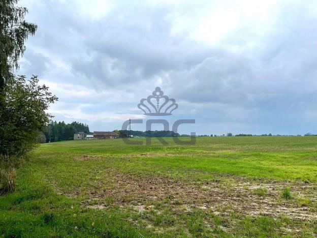 Prodej komerčního pozemku, Lučina, 2602 m2