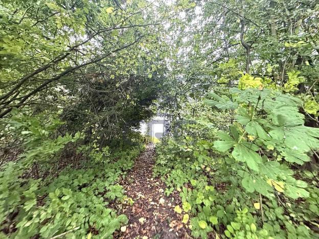 Prodej komerčního pozemku, Lučina, 2602 m2