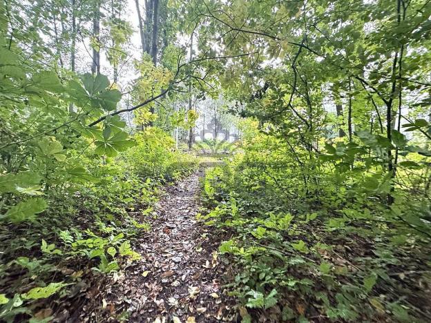 Prodej komerčního pozemku, Lučina, 2602 m2