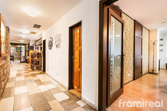 Pronájem restaurace, Brno, Řezáčova, 294 m2