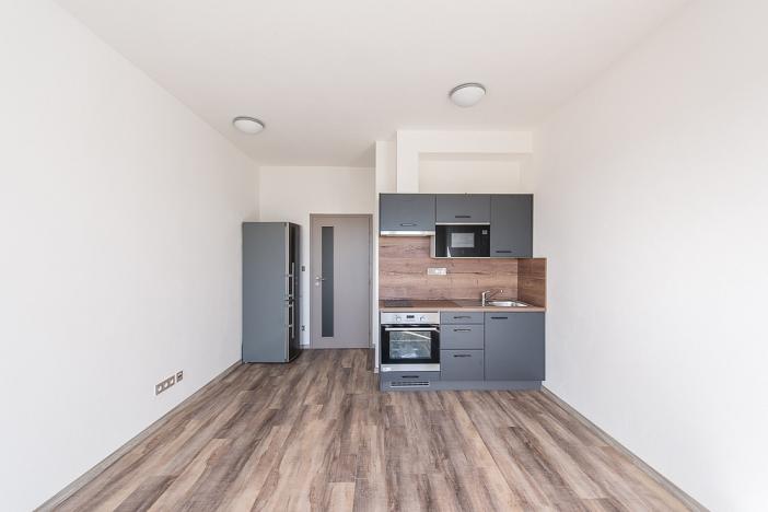 Pronájem bytu 1+kk, Plzeň - Severní Předměstí, Bolevecká, 37 m2