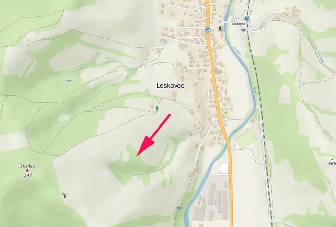 Prodej lesa, Leskovec, 6606 m2