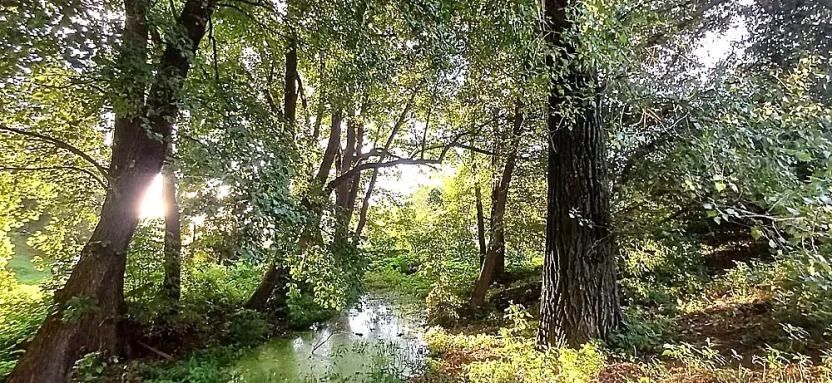 Prodej vily, Kouřim, Kolínská, 280 m2